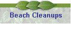 Beach Cleanups