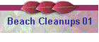 Beach Cleanups 01