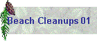 Beach Cleanups 01