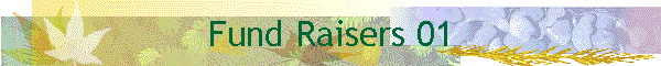Fund Raisers 01